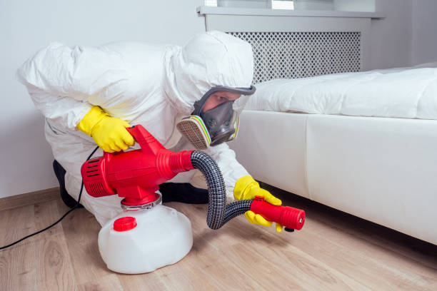 Best Local Pest Control Services  in Corydon, IN