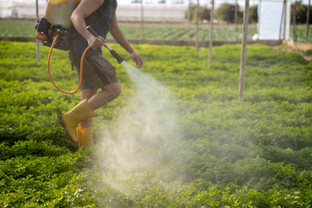 Best Ant Control Services  in Corydon, IN