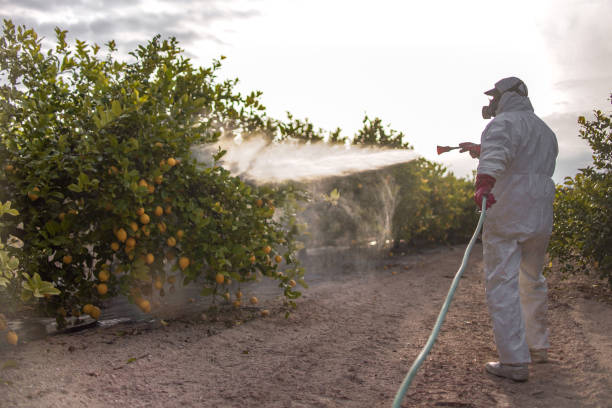 Best Pest Inspection Near Me  in Corydon, IN