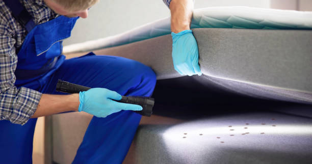 Best Termite Control Services  in Corydon, IN