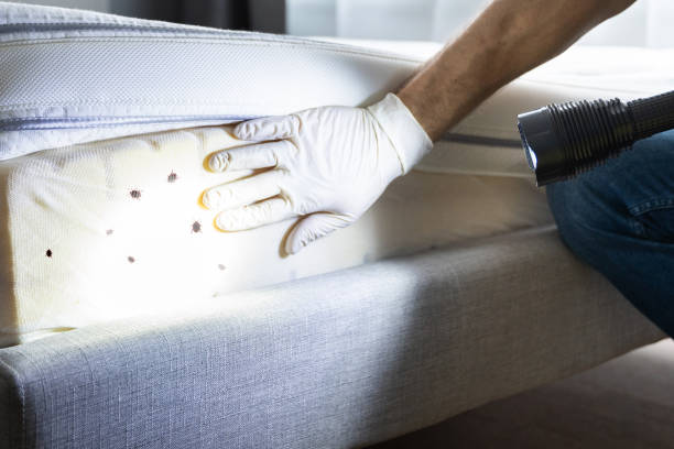 Best Residential Pest Control  in Corydon, IN