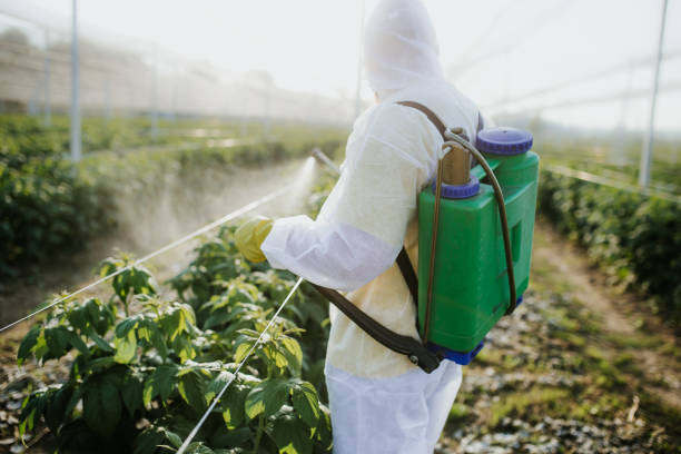 Professional Pest Control in Corydon, IN